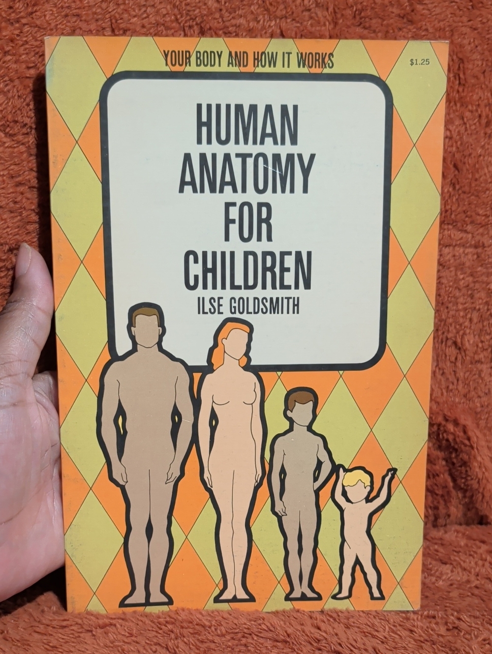 Human Anatomy for Children - By Ilse Goldsmith